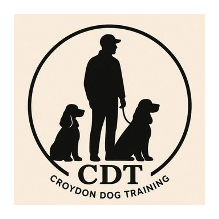 Croydon Dog Training