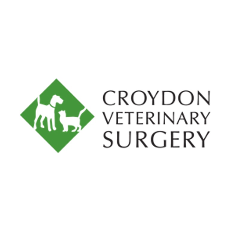 Croydon Vets